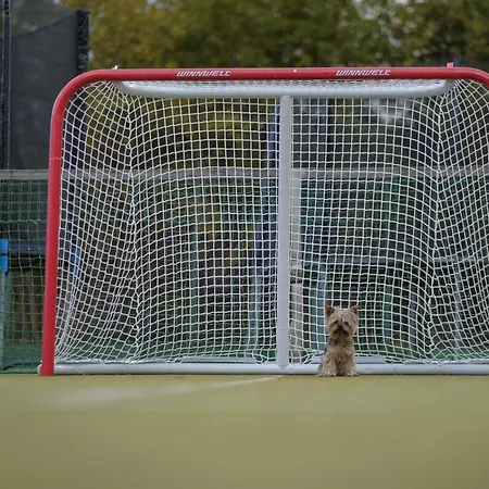 Chalet Pri Rozpravkovom Potoku - Rozpravkovo Tatranská Lomnica