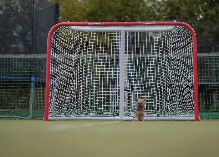 בקתה Pri Rozpravkovom Potoku - Rozpravkovo טטרנסקה לומניקה